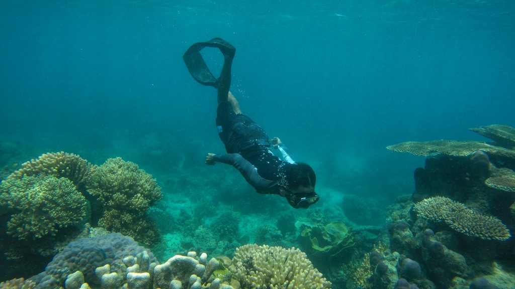 Freedive di Karang Ce'et, Pulau Bawean