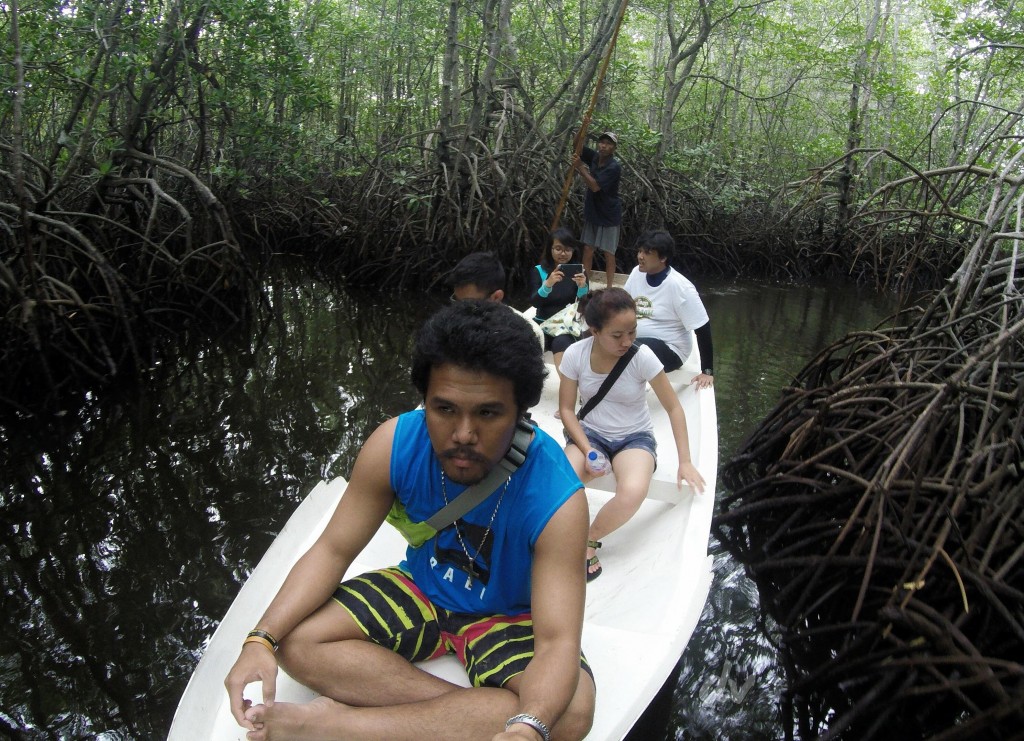Menjelajahi Hutan mangrove