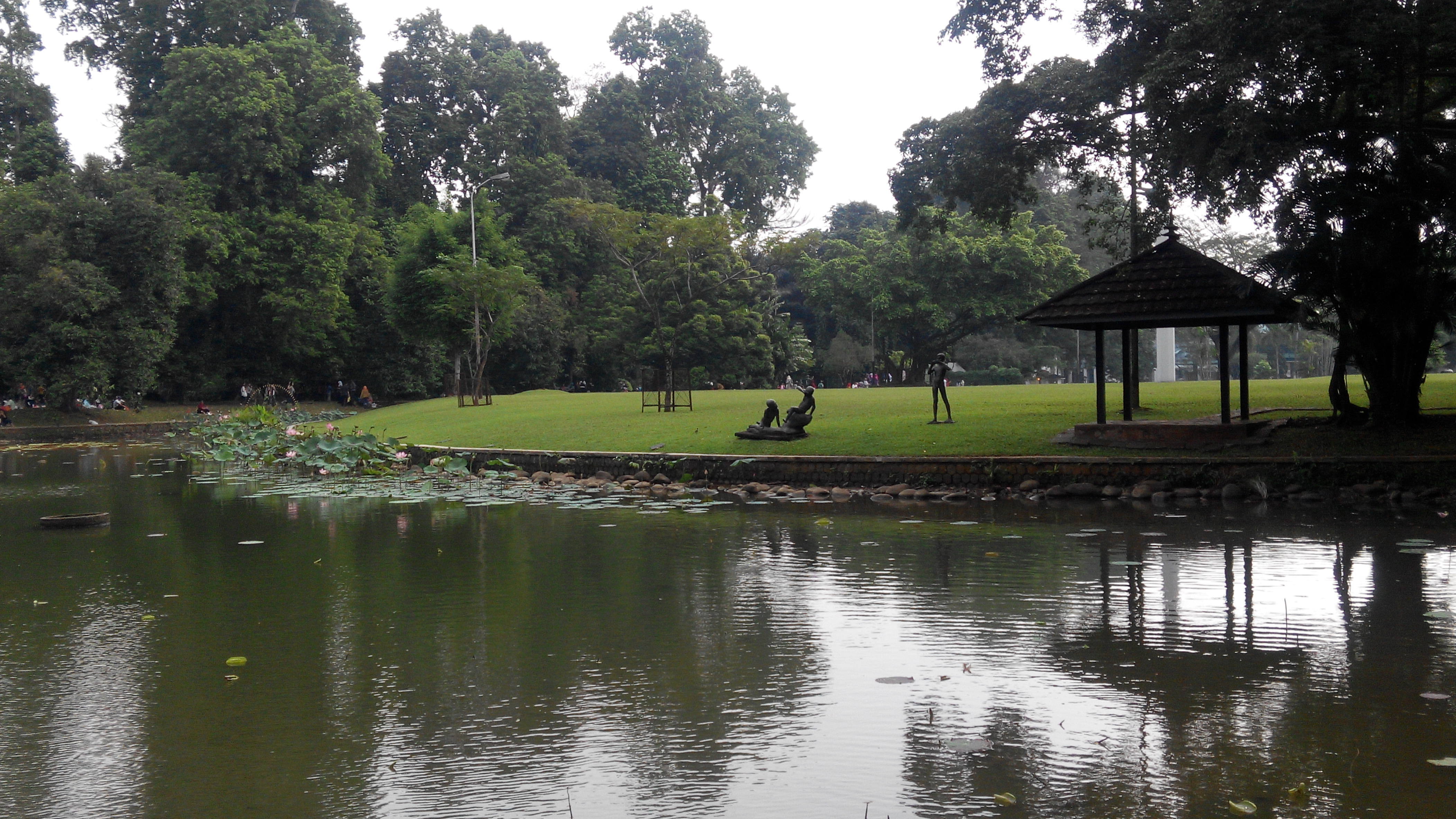 5 Spot yang Wajib dikunjungi jika kamu ke Kebun Raya Bogor