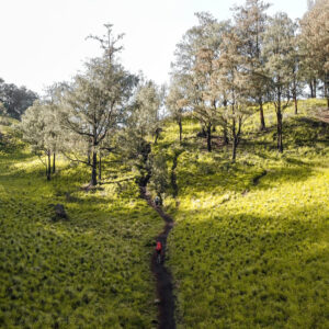 Tanjakan menuju Gupak Menjangan