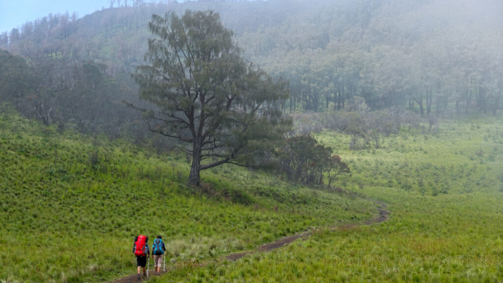 Perjalanan Menyusuri Savana Untuk Menuju Pasar Dieng Daily Voyagers