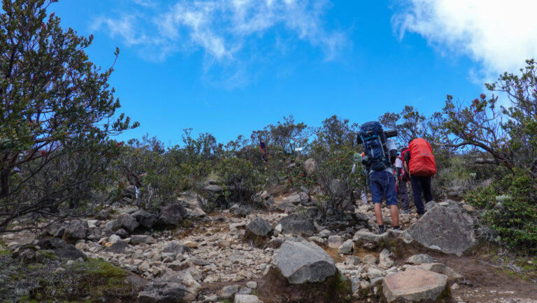 Jalur Di Pasar Dieng Ini Dipenuhi Batu Daily Voyagers