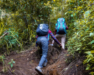 Perjalanan menuju Pos 2