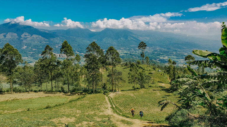 Rute Pendakian Gunung Cikuray Via Bayongbong Cintanagara