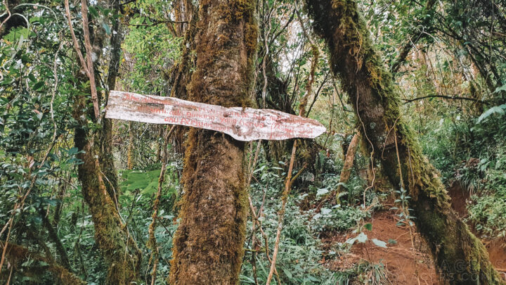 Rute Pendakian Gunung Cikuray Via Bayongbong Cintanagara