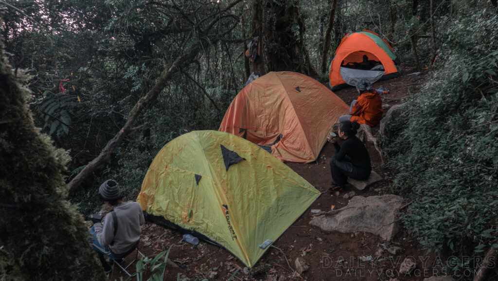 Rute Pendakian Gunung Cikuray Via Bayongbong Cintanagara